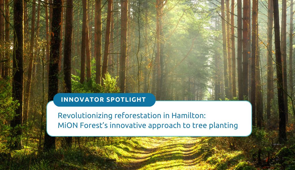 Revolutionizing reforestation in Hamilton: MiON Forest’s innovative approach to tree planting